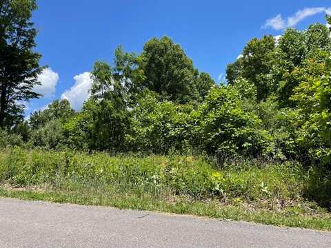 Tbd Airport Rd, Cedar Bluff, VA 24609