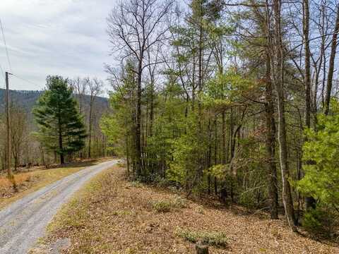 Lot 3 Sunset Lane, Bland, VA 24315