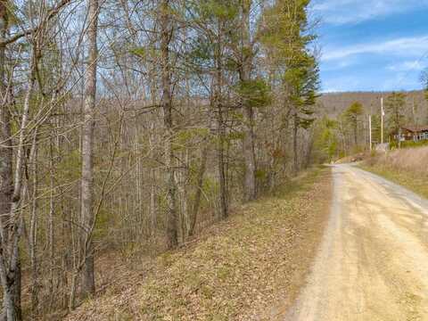 Lot12/14 Lake Forest Lane, Bland, VA 24315