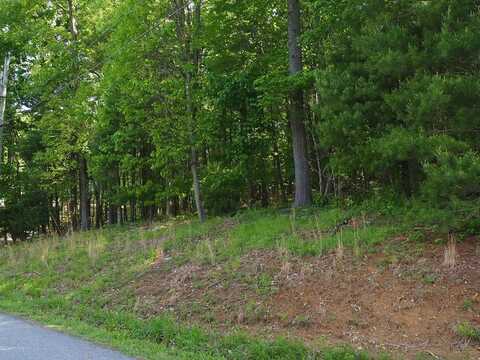 Tbd Chinquapin Trail, Hillsville, VA 24343