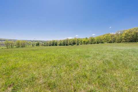 Tbd Fort Chiswell Rd, Max Meadows, VA 24360