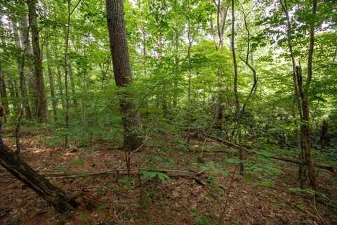 Lot 28 Manor House Dr, Laurel Fork, VA 24352