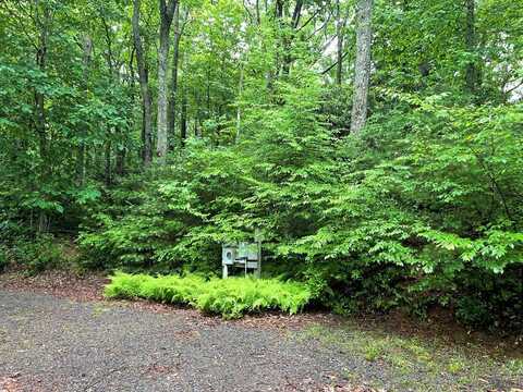 Tbd Forest Park Lane, Fancy Gap, VA 24328