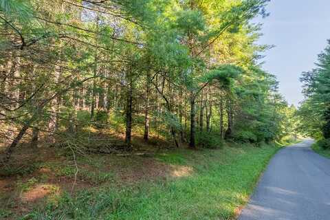 30-19d&e Locust Hill Rd, Max Meadows, VA 24360