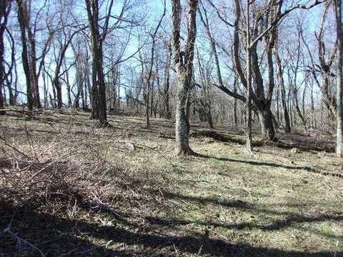 Tbd Spring Valley Road, Elk Creek, VA 24326