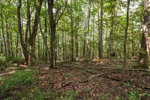 Lot 5 Hidden Valley Lane, Independence, VA 24348