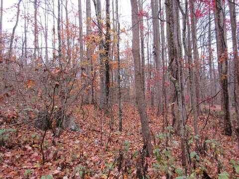 Lot 9 Kesner Lane, Abingdon, VA 24210