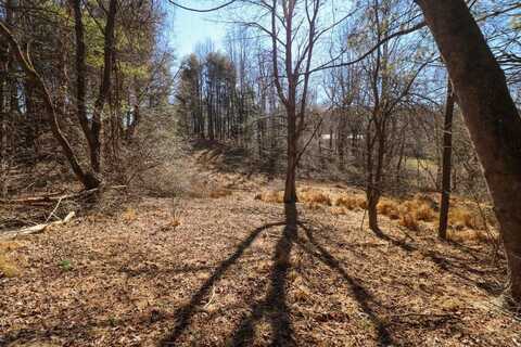 Lot 65 Southern View Trail, Fancy Gap, VA 24328