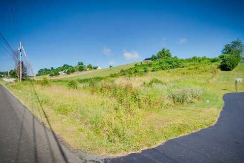 3.646 Ac Old Saltworks Rd, Meadowview, VA 24361