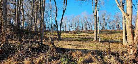 Tbd Lot # 1 Old Saltworks Road, Meadowview, VA 24361