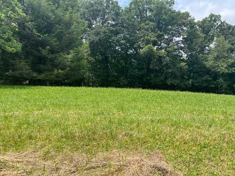 Lot #2 Daw Road, Raven, VA 24639