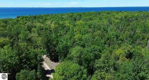 0 Timberlane Drive, Ellsworth, MI 49729