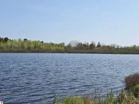 31588 W Birch Shores Drive, Trout Lake, MI 49793