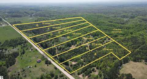 Parcel E 15100 Erwin Road, Copemish, MI 49625