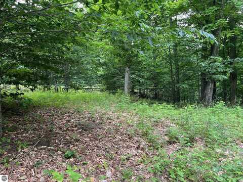 0000 W Timber View Trail, Empire, MI 49630