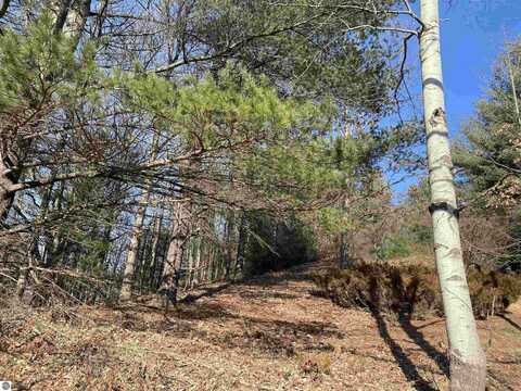 Lot 44 Kirkridge Drive, Williamsburg, MI 49690