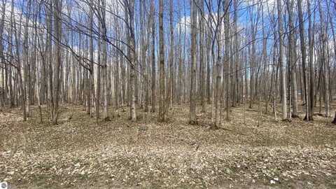 Lot 111 Forestgrove Drive, Elmira, MI 49730