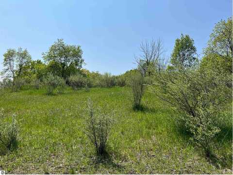 Lot 45 Floreys Ranch Road, Grawn, MI 49637