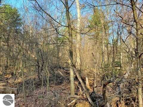 0 E Trail, Prescott, MI 48756