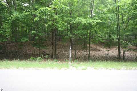 lot 20 Crystal View Commons, Beulah, MI 49617