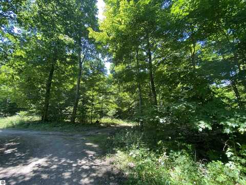 S Benzonia Trail, Empire, MI 49630