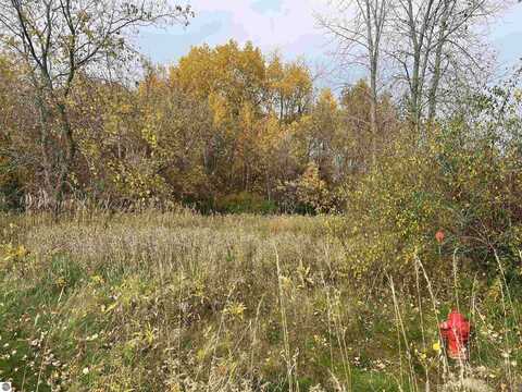 Lot 10 McDonald Drive, Mount Pleasant, MI 48858