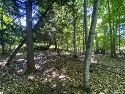 Lot 9 S Club Drive, Cedar, MI 49621