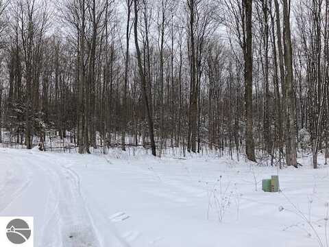 10 Kodiak Trail, Kingsley, MI 49649