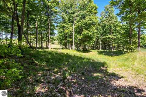 0022 Heather Ridge Trail, Beulah, MI 49617