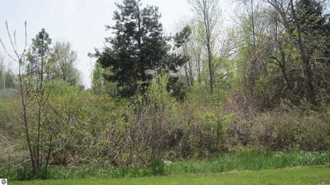 TBD Lot 49 Leona Drive, Mount Pleasant, MI 48858