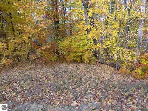 Lot 79 Eden Street, Kingsley, MI 49649