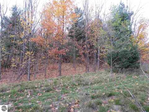 Lot 71 Rawlings Place, Kingsley, MI 49649