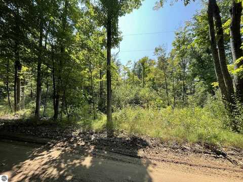 17.3Acres Marsh Road, Kingsley, MI 49649