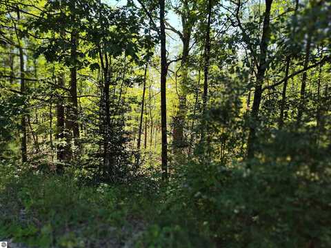 Lot 12 N Circle E, Farwell, MI 48622