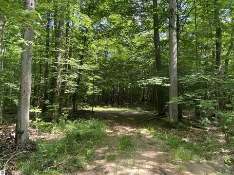 Demerly Road, Benzonia, MI 49616