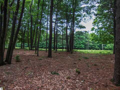 0000-Unit 41 Trailside Drive, Thompsonville, MI 49683