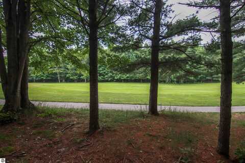 0000-Unit 39 Trailside Drive, Thompsonville, MI 49683