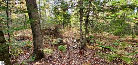 TBD Merwin Creek Road, Manistique, MI 49854