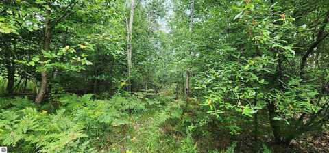 Parcel D River Road, Manistee, MI 49660