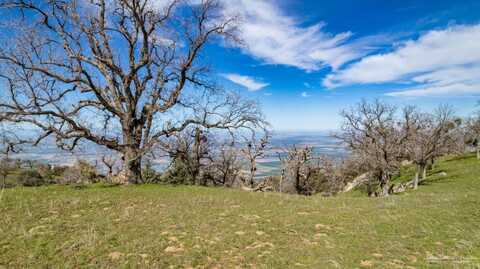 26300 Hazelwood Court, Tehachapi, CA 93561