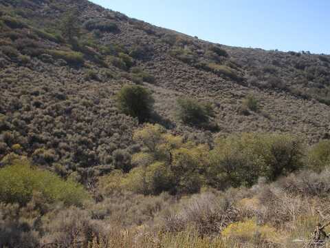 17691 Mountain Climber Way, Tehachapi, CA 93561