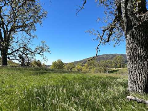 30731 Pinedale Drive, Tehachapi, CA 93561