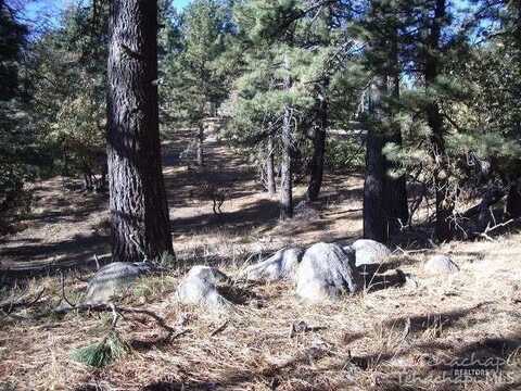 25841 Wilderness Way, Tehachapi, CA 93561