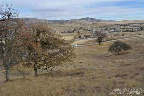 0 Willow Canyon Rd Lot 42, Tehachapi, CA 93561