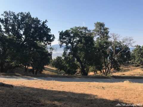 29151 Woodview Court, Tehachapi, CA 93561