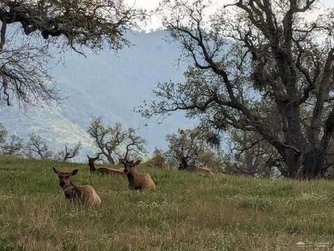 26601 Chester Court, Tehachapi, CA 93561