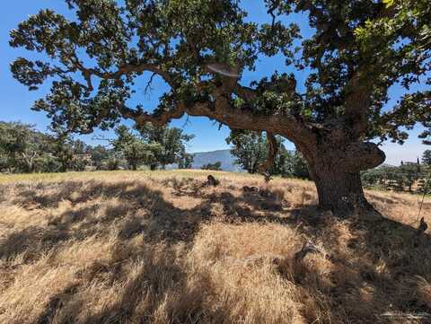 28441 Deertrail Drive, Tehachapi, CA 93561