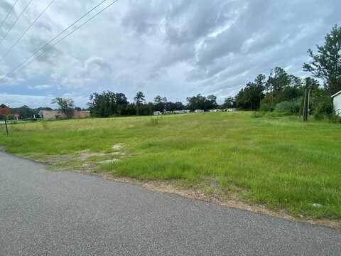 411 E Bush St, Colquitt, GA 39837