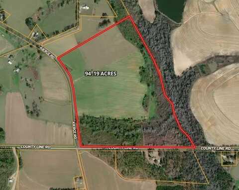 154 Kierce Road (94+/- Acres), Pelham, GA 31779