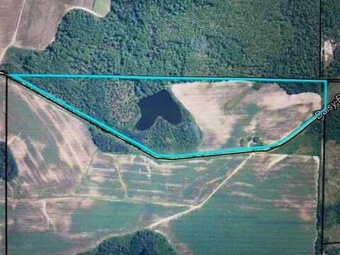 295 Daisy Rd    (41.85 Acres with Pond), Tifton, GA 31750